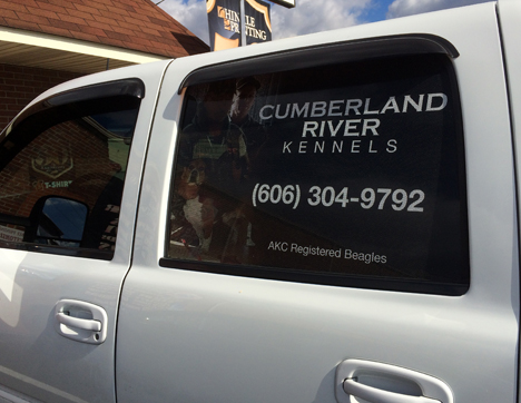 Perforated Vehicle Window Graphic full color automotive window graphics